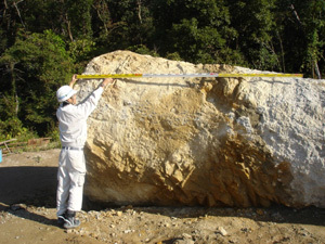 スライム量計測状況